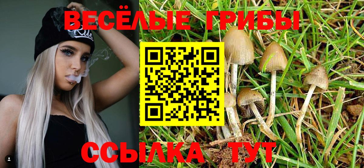 даркнет сайт  Галлюциногенные грибы мицелий  Вход с VPN  Серов 